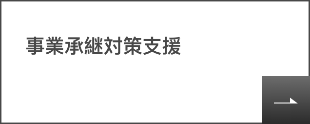 brilo-tax-service_business-succession